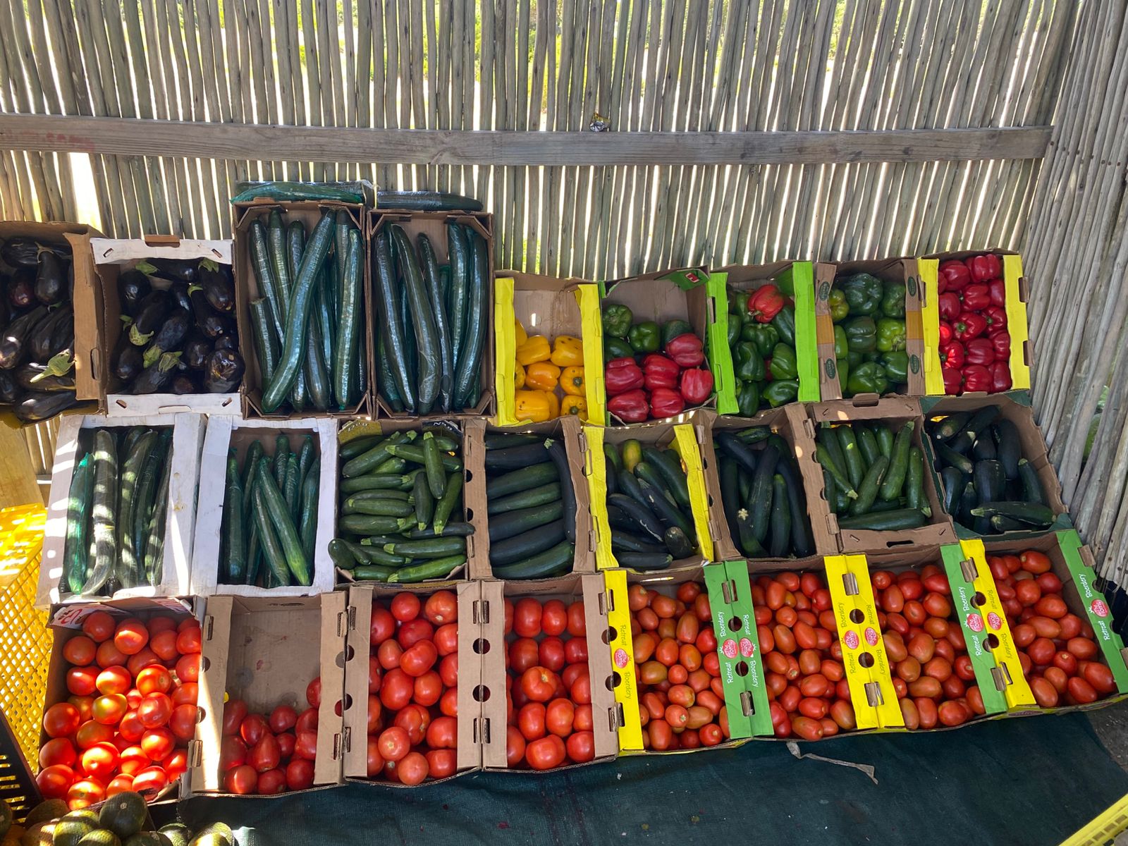 Fresh Vegetables