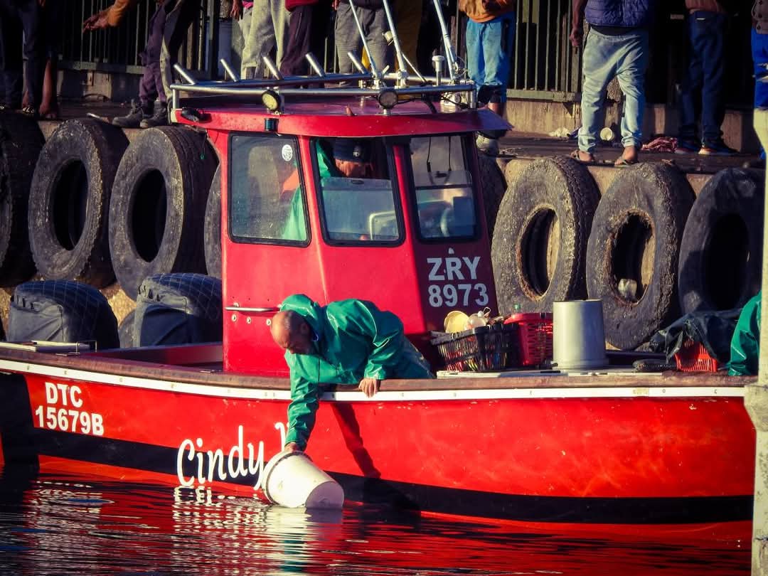 Otto's Fish Shop