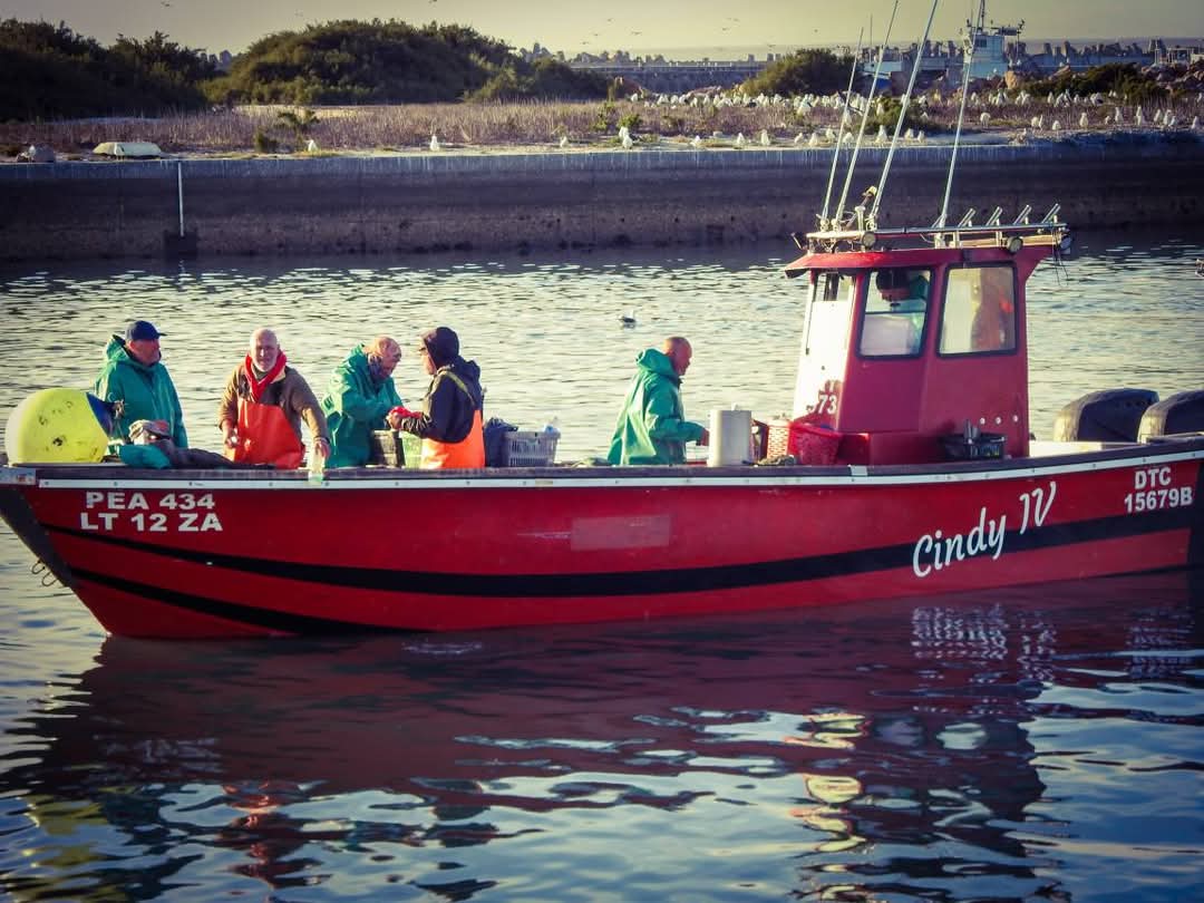 Fresh fish to take home