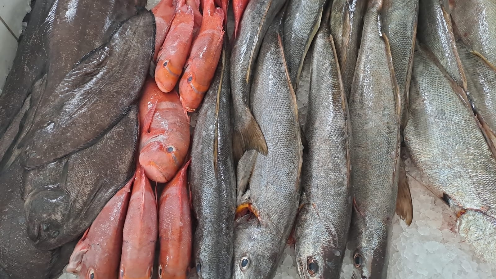 Fish market freshness