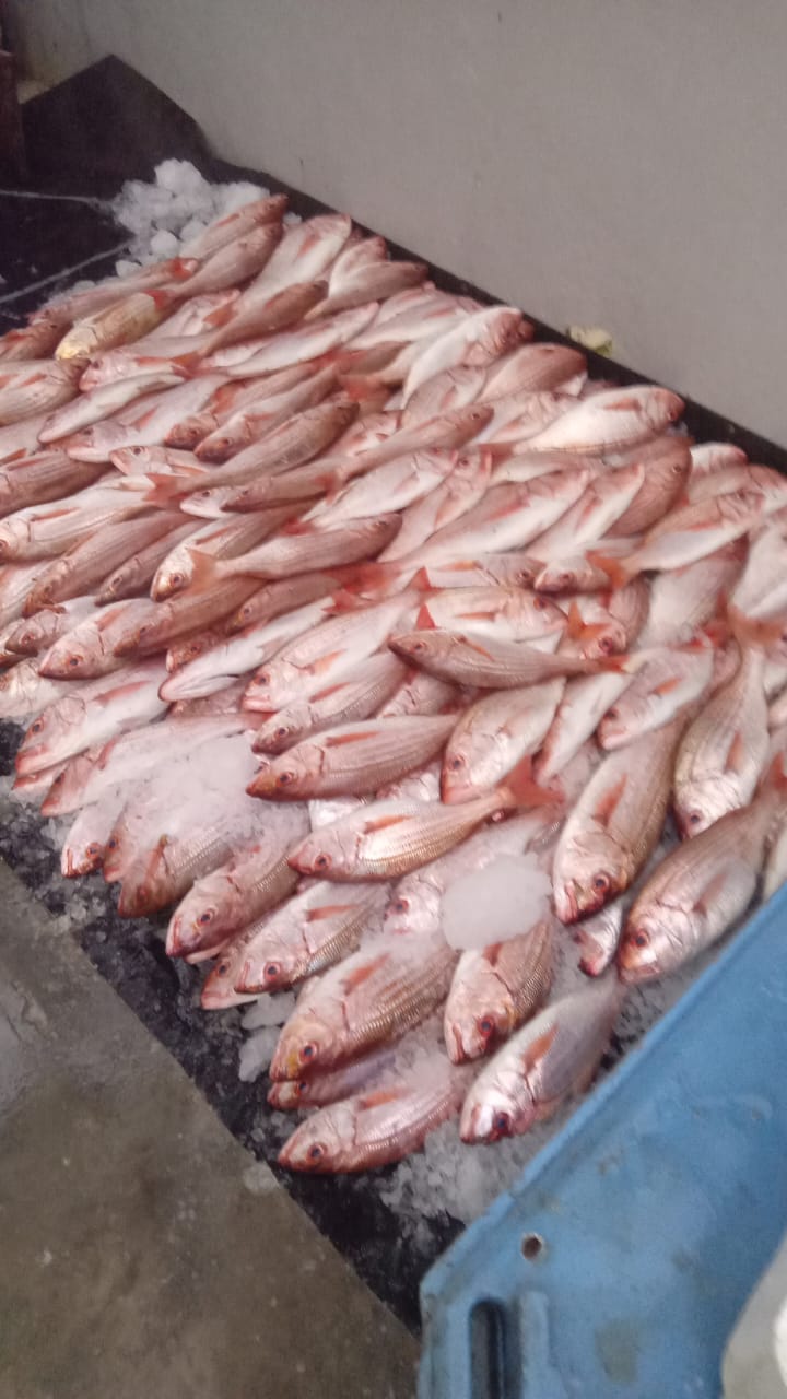 Seafood selection