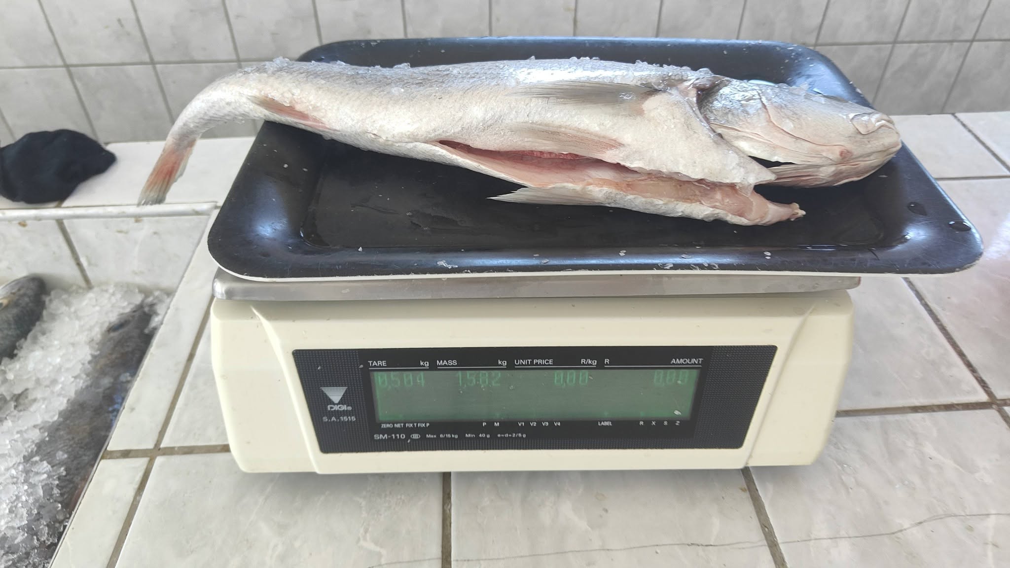 Otto's Fish Shop