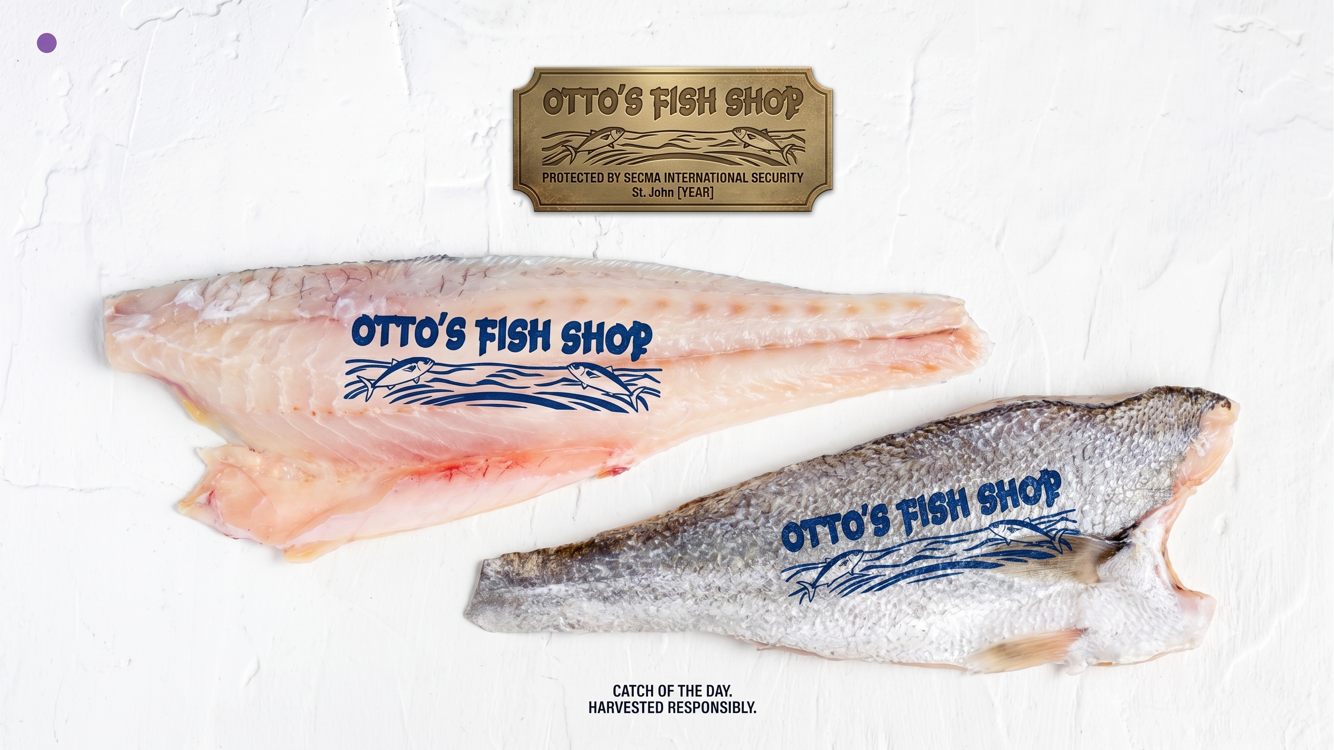 Otto's display