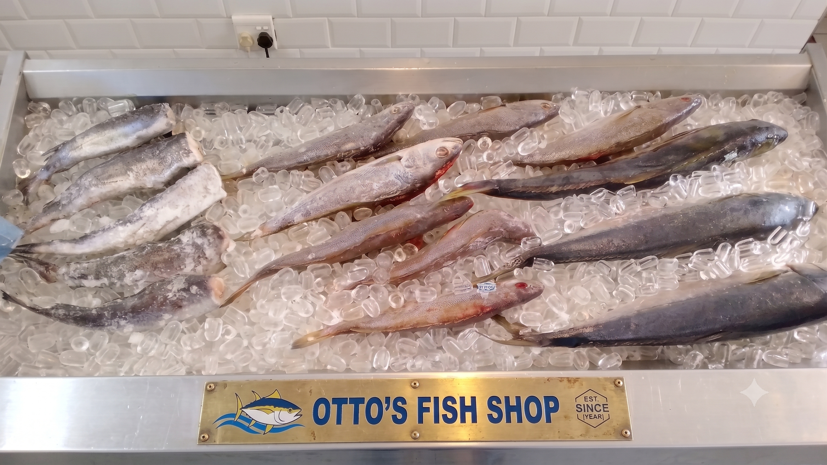 Otto's display
