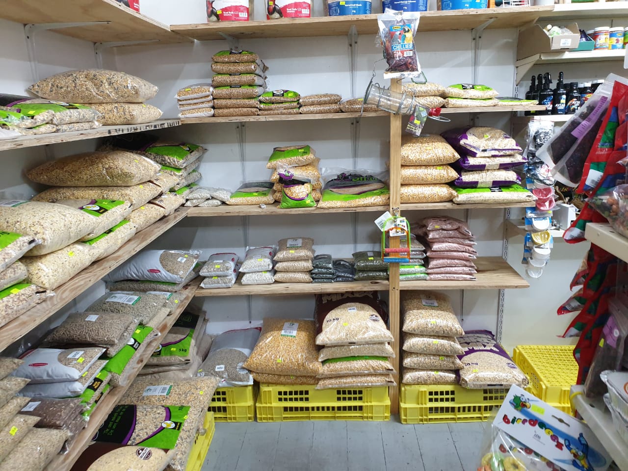 Pet shop display