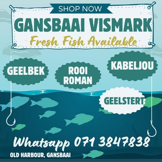 Fresh fish ready for sale