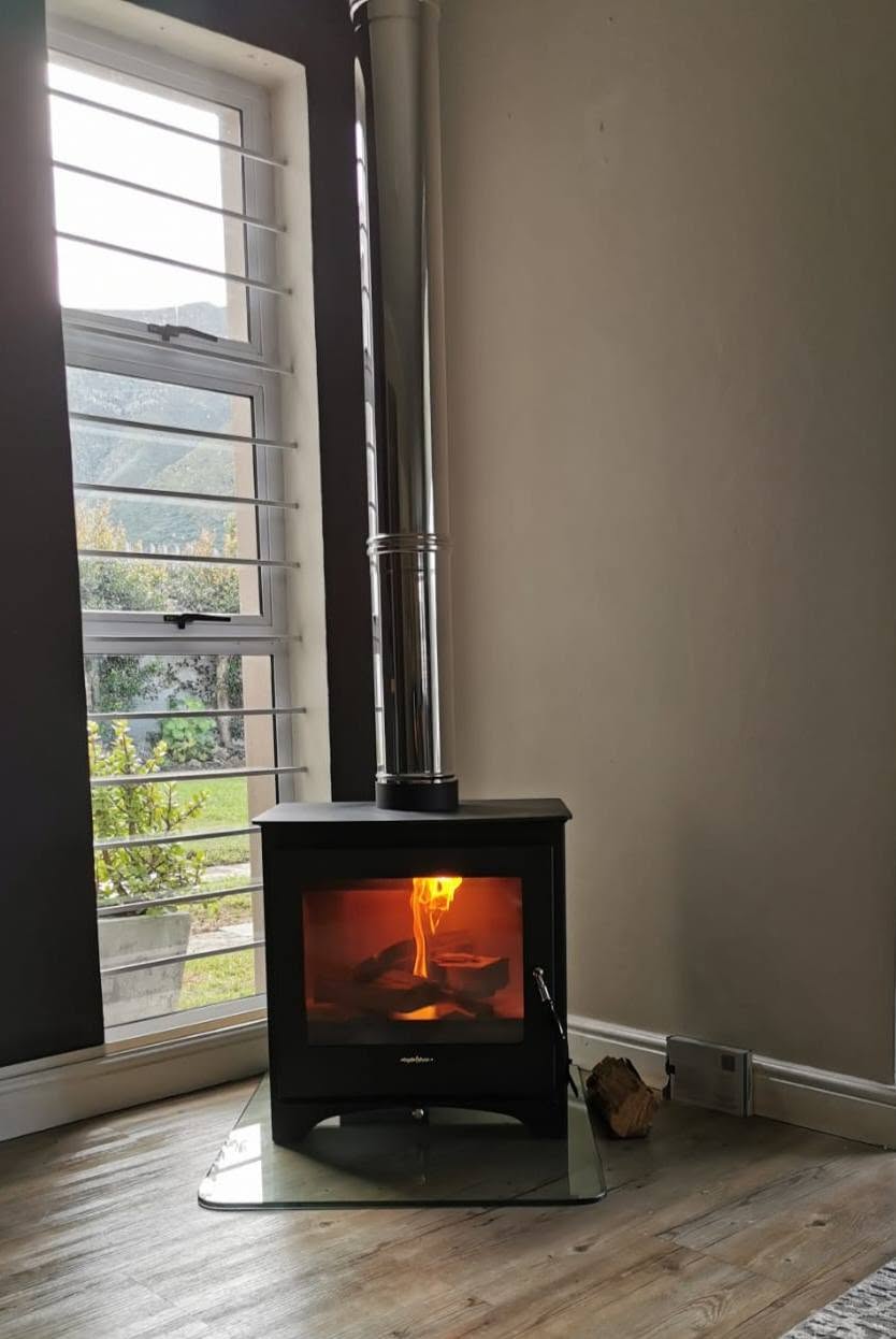 Wood-burning fireplace
