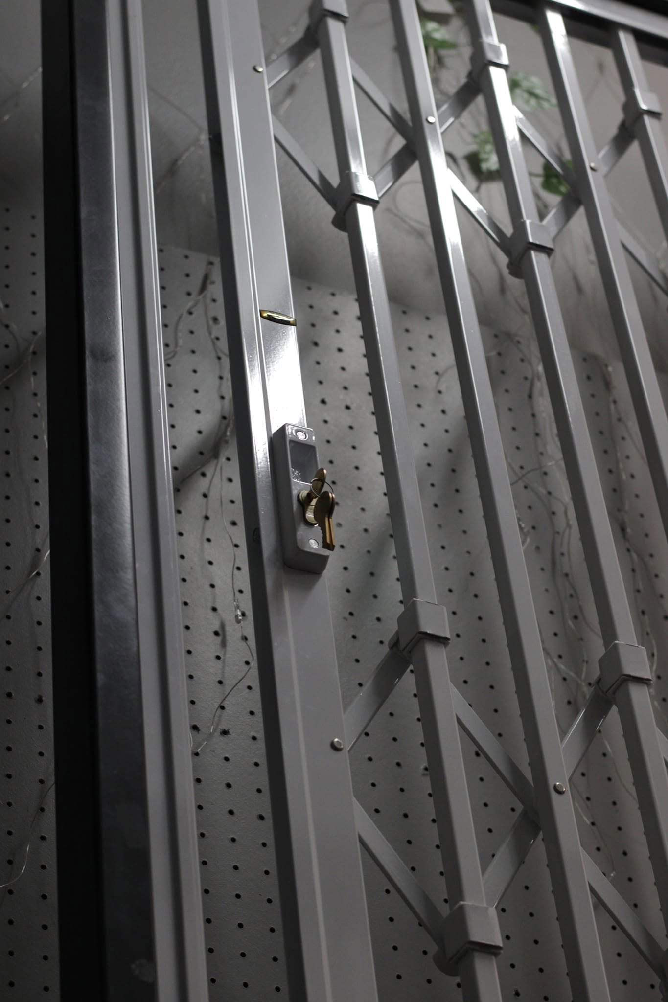 Expanding security gate detail